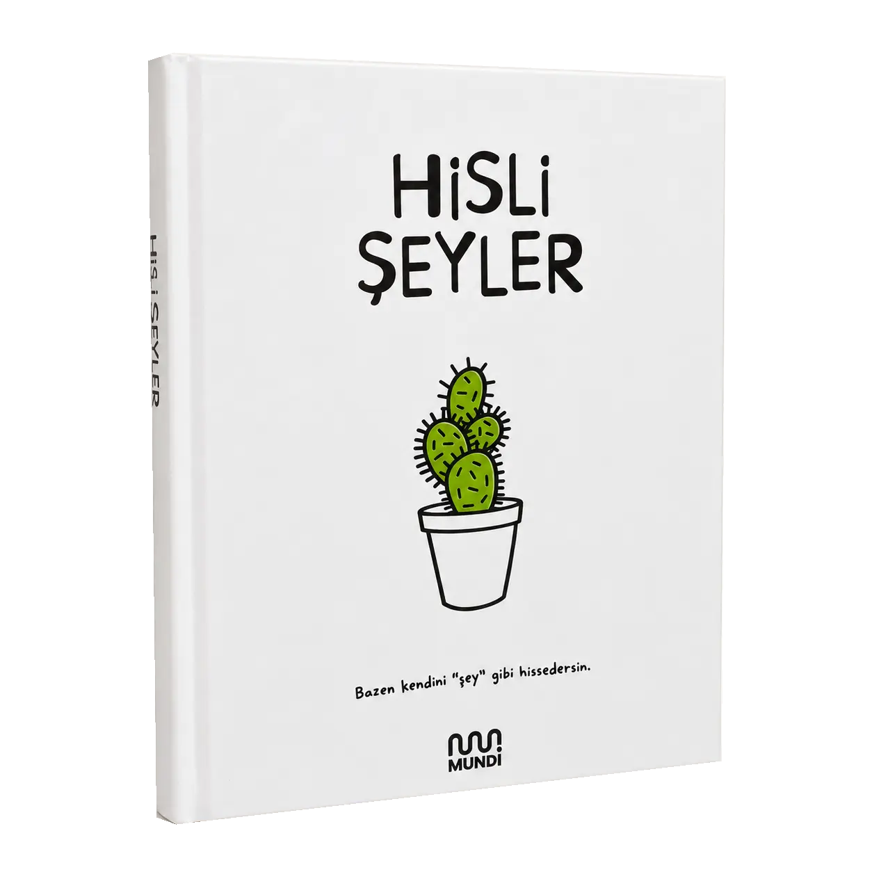 Hisli Şeyler