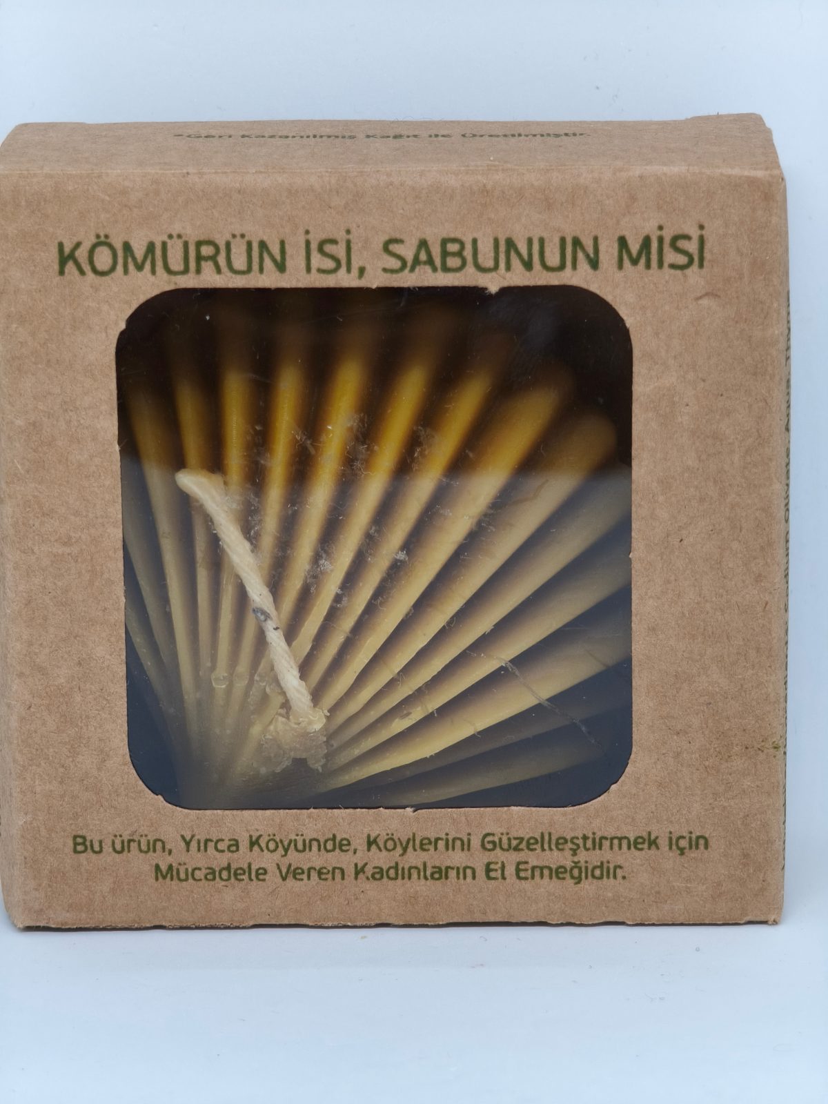 Deniz Kabuğu - Bal Mumu Mum